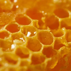 NUXE Lippenpflege·Lippenpflege|