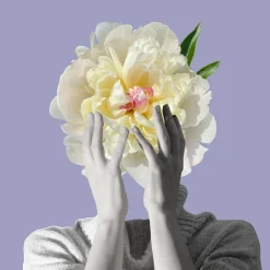 New Notes Düfte|Osmanto Shock Extrait de Parfum