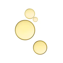 Payot Gesichtpflege·Gesichtsöl|