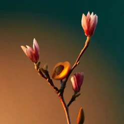 Penhaligon's London Düfte|