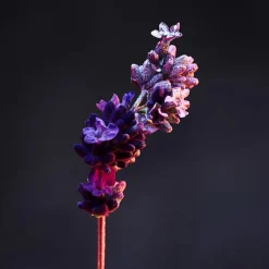 Rabanne Duschpflege·Shower Gel|