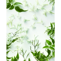 Ralph Lauren Düfte·Eau De Parfum Spray|