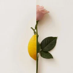 New Notes Düfte·Parfum|Rosa Limone Extrait de Parfum