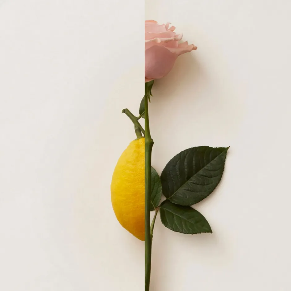 New Notes Düfte·Parfum|Rosa Limone Extrait de Parfum