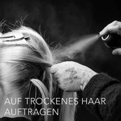 Sebastian Professional Haarspray|