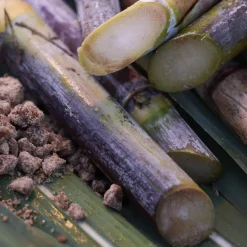 Shiseido Maske·Reinigungsmaske|