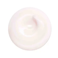 Shiseido Gesichtpflege·Tagespflege|