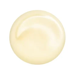 Shiseido Gesichtspflege·Augenpflege|