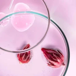 Shiseido Serum & Kur ·Serum|