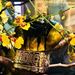 The House of Oud Düfte|