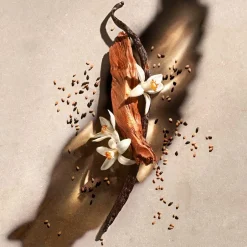 ZADIG&VOLTAIRE Körperpflege·Body Lotion|